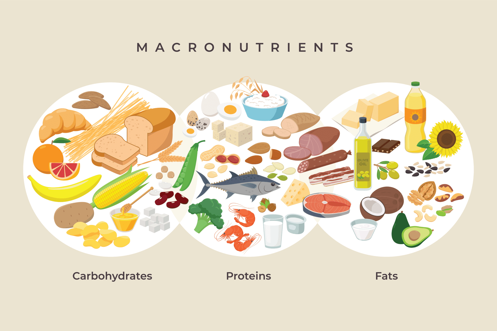 Understanding Macros